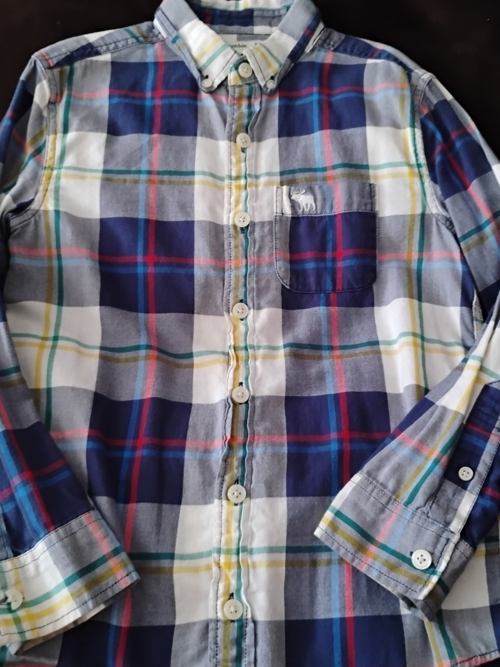 abercrombie kids Navy, White & Multicolor Plaid Button-Down Shirt